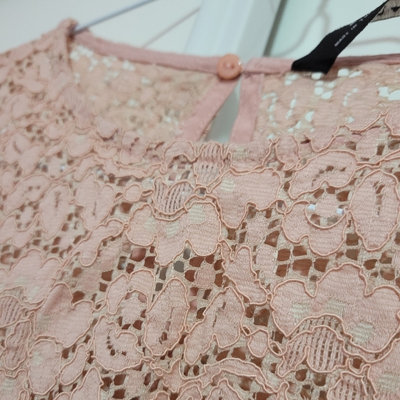 ZARA blushed pink lace, ruffled sleeved blouse - Picture 3 of 5